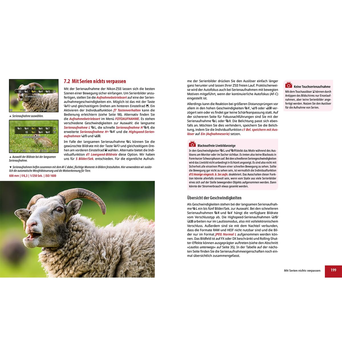 Nikon Z5II: Das umfangreiche Praxisbuch zu Ihrer Kamera: Expertenwissen, Profitipps, verständliche Anleitungen und praxisnahe Beispiele - von Profifotografen für perfekte Fotos und Videos