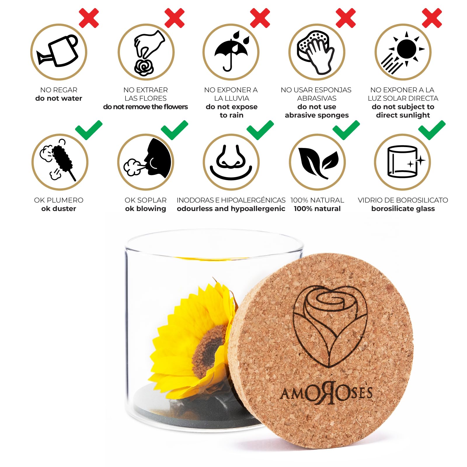 Amoroses Sunflo – Girasol estabilizado flor eterna en tarro de cristal | Idea regalo
