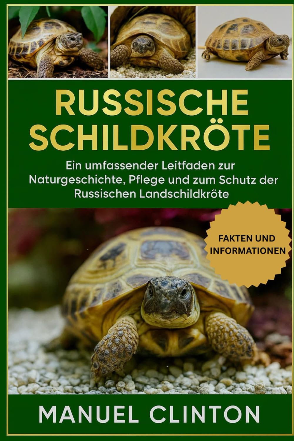 Russische Schildkröte: Ein umfassender Leitfaden zur Naturgeschichte, Pflege und zum Schutz der Russischen Landschildkröte