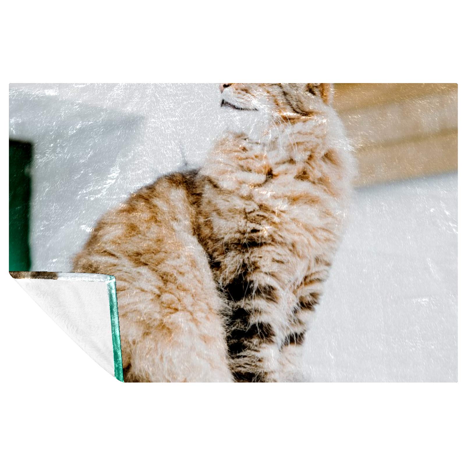 Couverture chat persan pour camping pique-nique et plage plaid nomade chaud