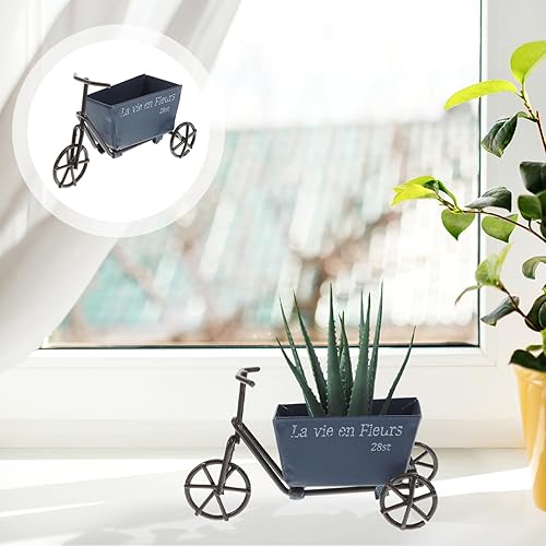 Miniatura 2 de Yardenfun Caja Carretilla Maceta Maceta Carro Jardinera Carro Jardinera Carro Suculenta Maceta Micro Paisaje Macetero Maceta Soporte Metal Flower