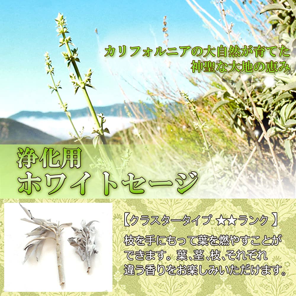 Amazon.co.jp: 完全無農薬 ホワイトセージ クラスター 100g 1ツ星 枝