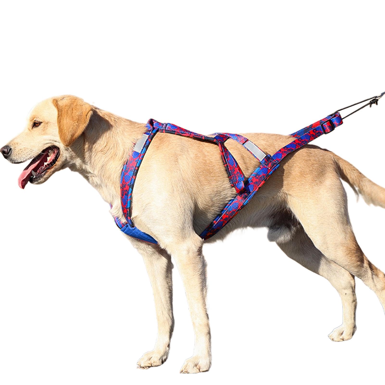 Harnais pour chien réfléchissant et polyvalent intégrant une corde flexible