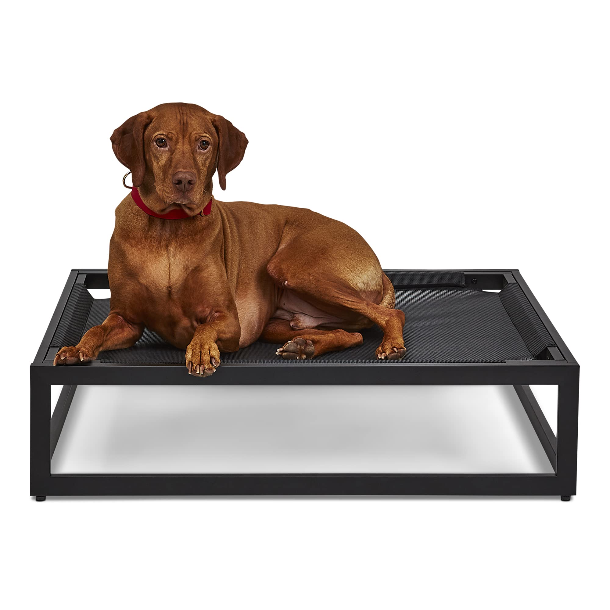 FUZI Up Pup Premium Raised Dog Bed with Strong Metal Frame, Luxury