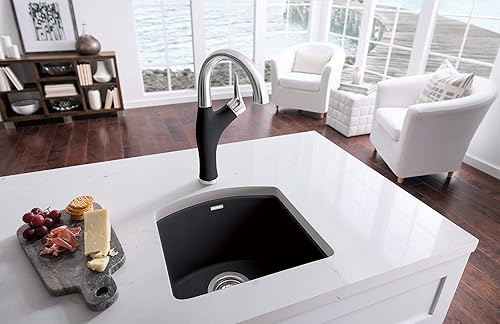 Miniatura 4 de BLANCO 442046 Artona - Barra desplegable de acero inoxidable con 1 mango y grifo de preparación, 13.625 pulgadas de alto x 6.875 pulgadas de