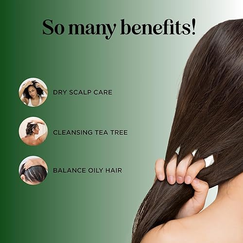 Miniatura 3 de Juego de champú y acondicionador de árbol de té, champú y acondicionador clarificante sin sulfato para el cuidado del cabello graso y el cuero