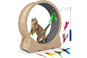 Cat Exercise Wheel: The Ultimate Cardio Machine for Felines