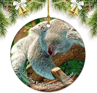 Australia Lone Pine Koala Sanctuary Brisbane Christmas Ornaments for Tree Ceramic Pendant Double Sided Ornament Decor Xmas Gifts Porcelain Travel Souvenirs