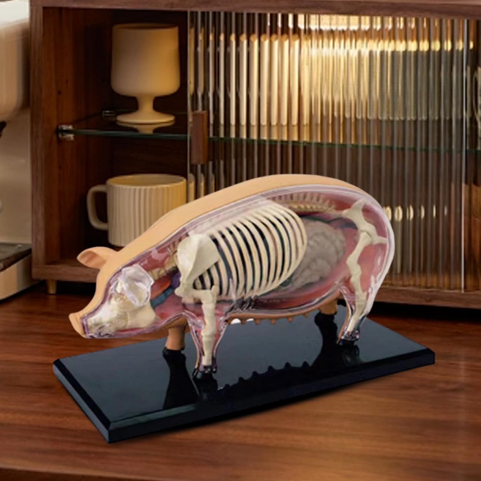Modelos De Anatomía Animal Para Niños Modelo de Anatomía de Cerdo | Juguete Científico de Biología Desmontable Para Aulas Laboratorios Escolares Y Clínicas Veterinarias