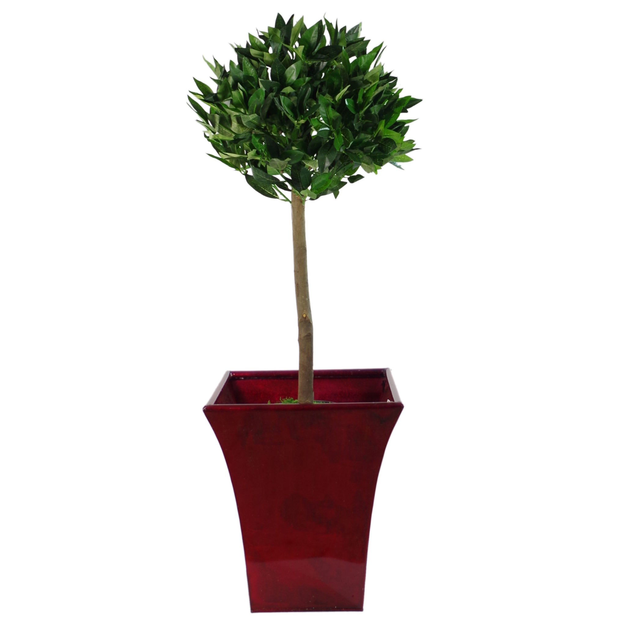 knstliche rosen in box Robotime Blooming Bouquet Box | Bewegliches Blumengesteck