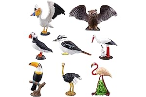 8-Piece Realistic Bird Figurines Set for Kids