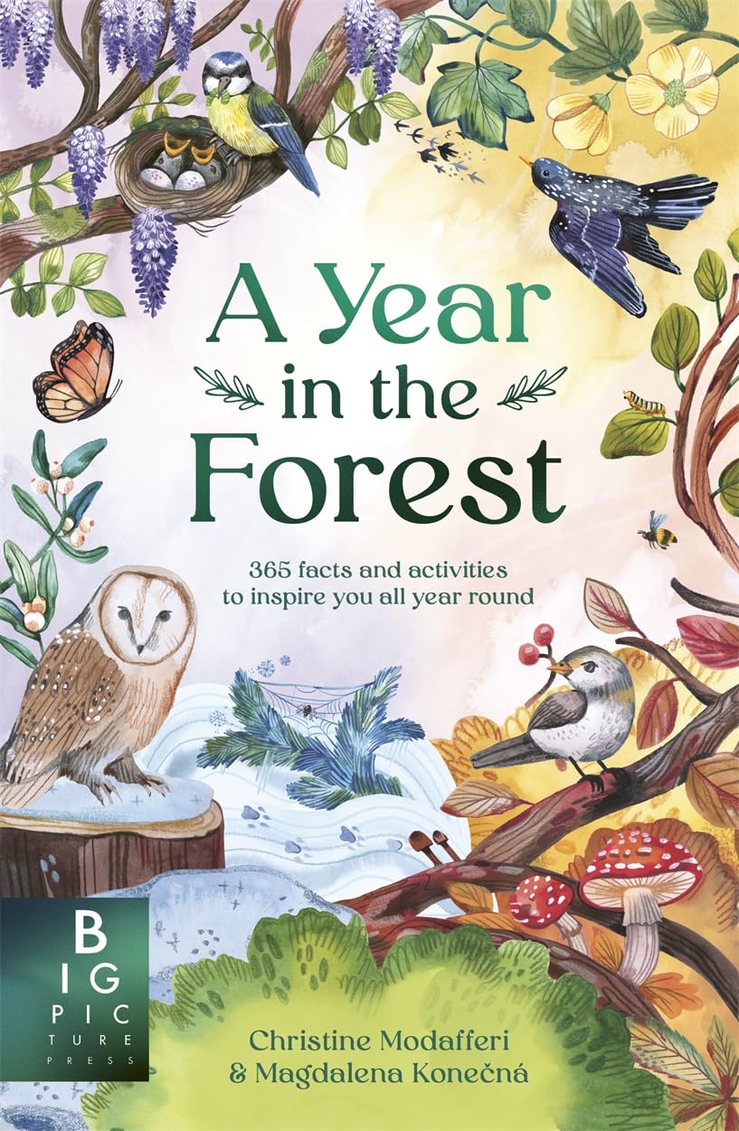 A Year in the Forest: 365 facts and activities to inspire you all year round