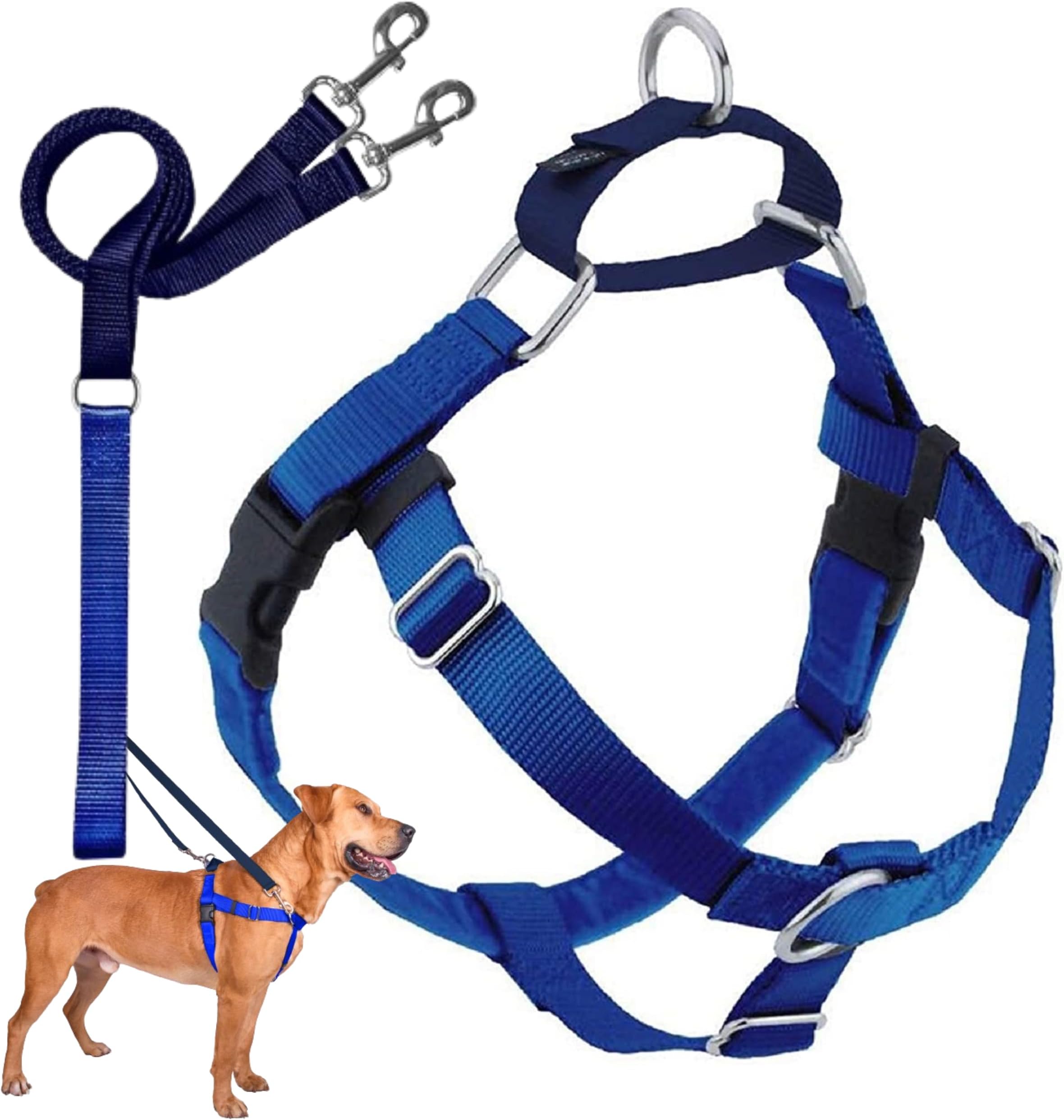 2 Hounds Design Freedom No-Pull Dog Harness With Leash, M, 1-Inch Wide, Royal Blue