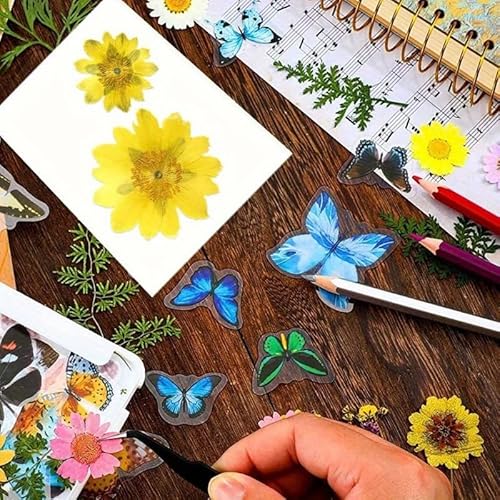 25 Stück Kaltlaminierfolie-A4-Laminierfolien Selbstklebend, Kalt Laminierfolie, Wasserdichte, Transparente Glänzende für Ultraschallbilder, Botanische Exemplare, Fotos, Keine Maschine Erforderlich