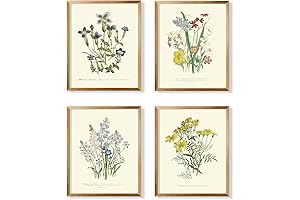 Modern Watercolor Botanicals: Rustic French Cottagecore Wall Art