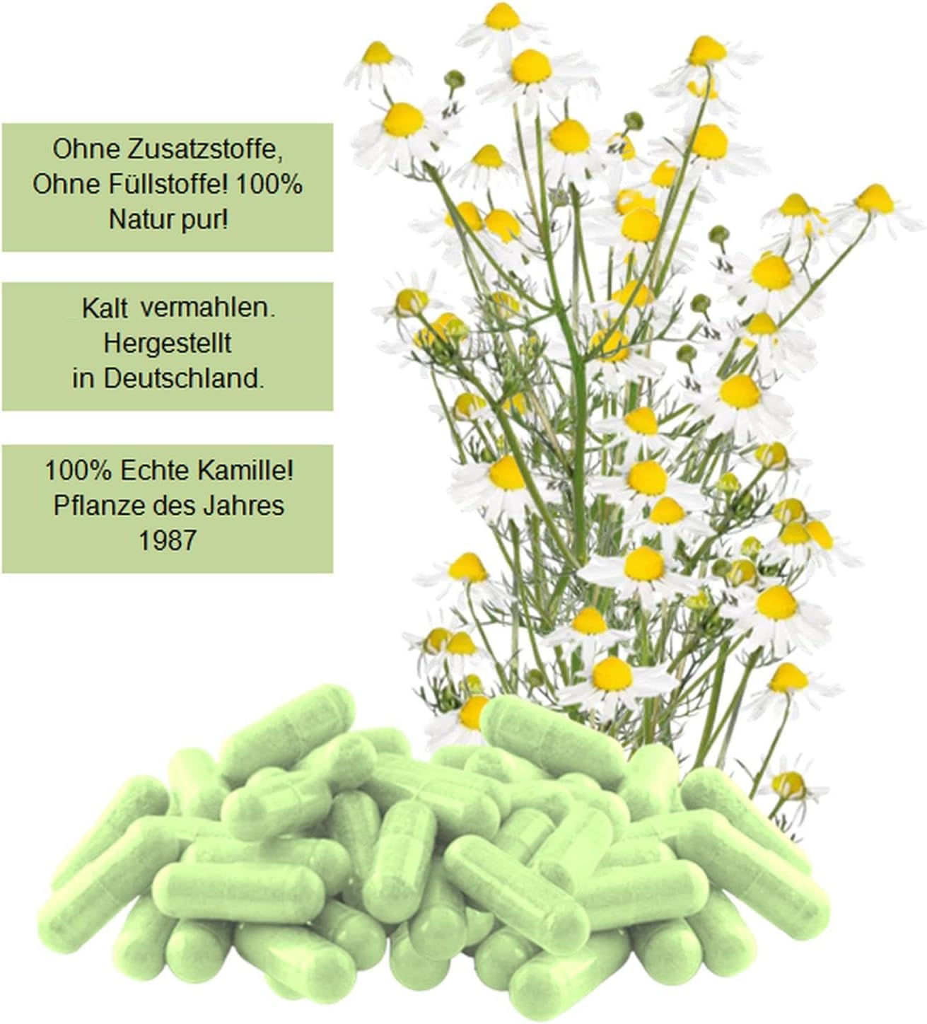Echte KAMILLE Chamomilla Kamillenblüten 360 Kapseln - MAGEN & DARM - Adaptogen + Seelenkraut für ENTSPANNUNG. 100% NATUR PUR - OHNE ZUSATZSTOFFE. 27120-360