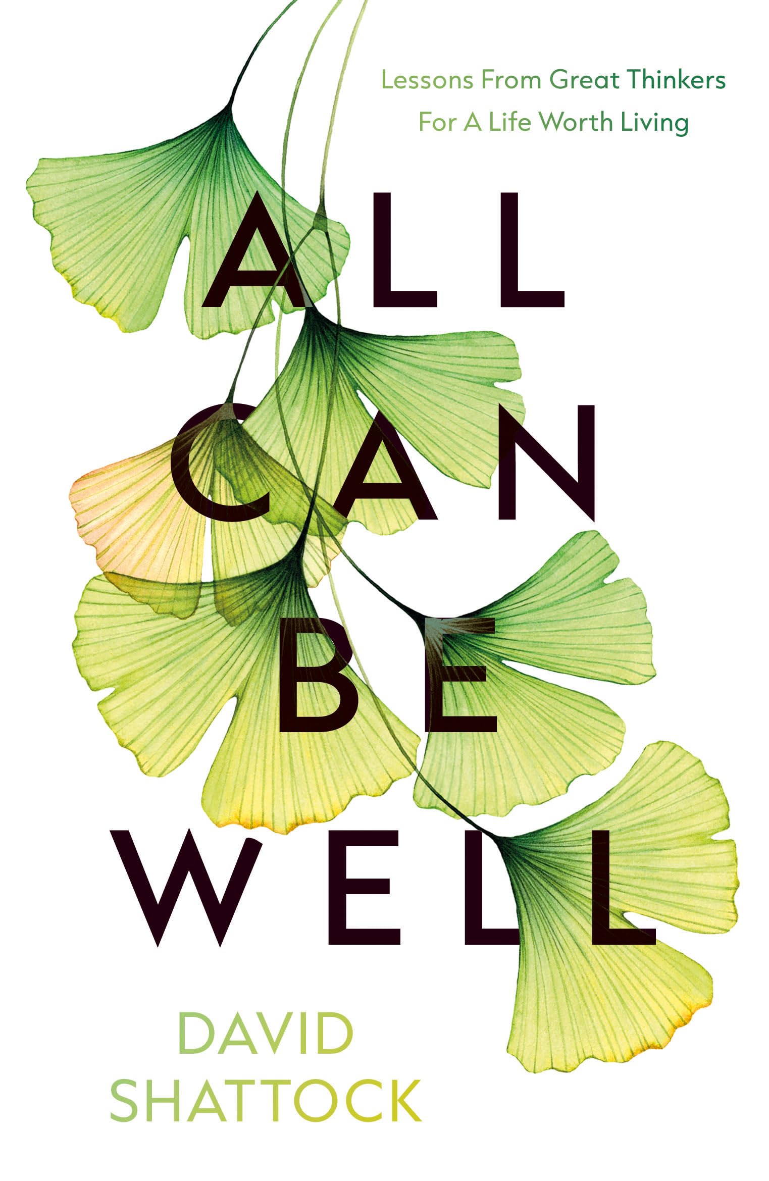 All Can Be Well by David Shattock (Paperback Book)