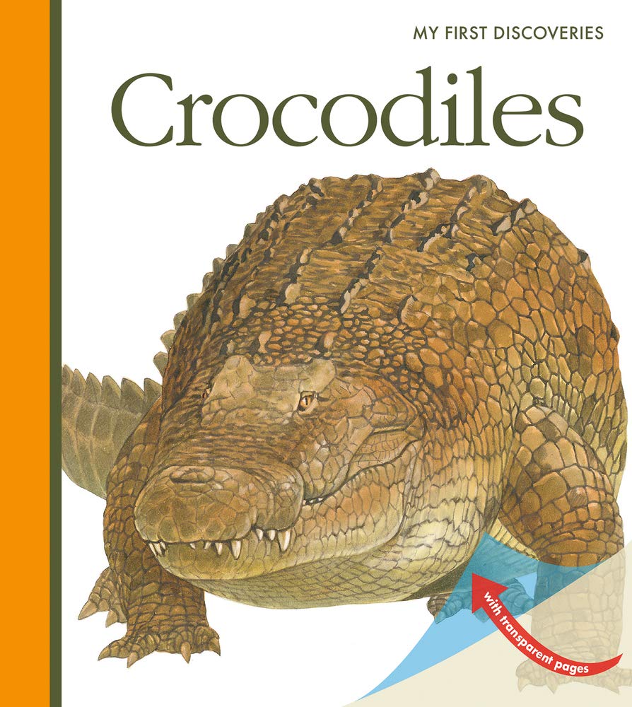 Crocodiles - Christmas Wildlife Book for Curious Kids Who Love Dangerous Animals (My First Discoveries)