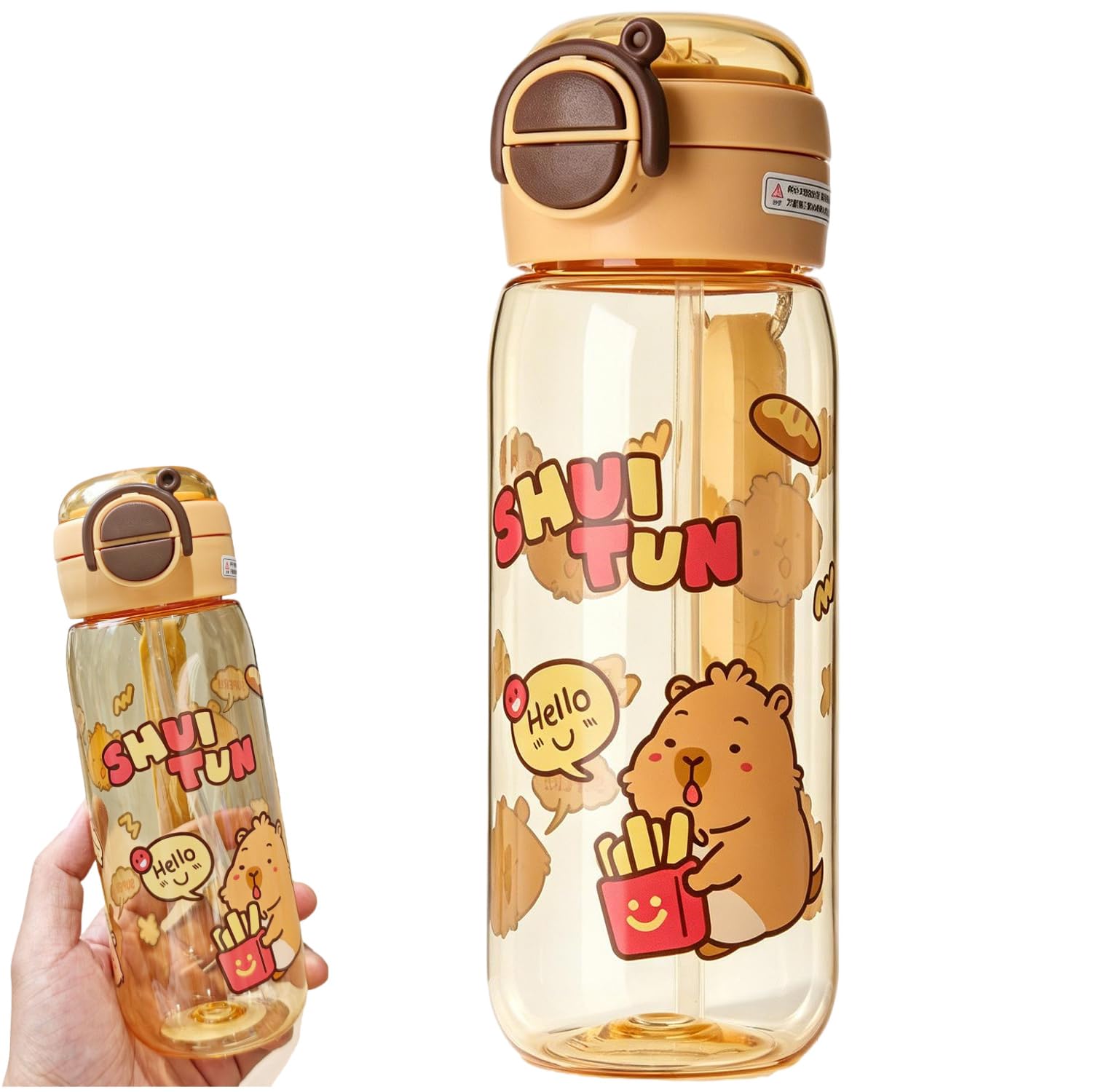 Spiritzohic Multicolor Capybara Water Bottle, 580Ml Capybara Drinking Bottle With Lid & Keychain, Cute Water Bottles With Silicone Straw Drinking Cup, Drinking Pot For Office Outdoor Travel School