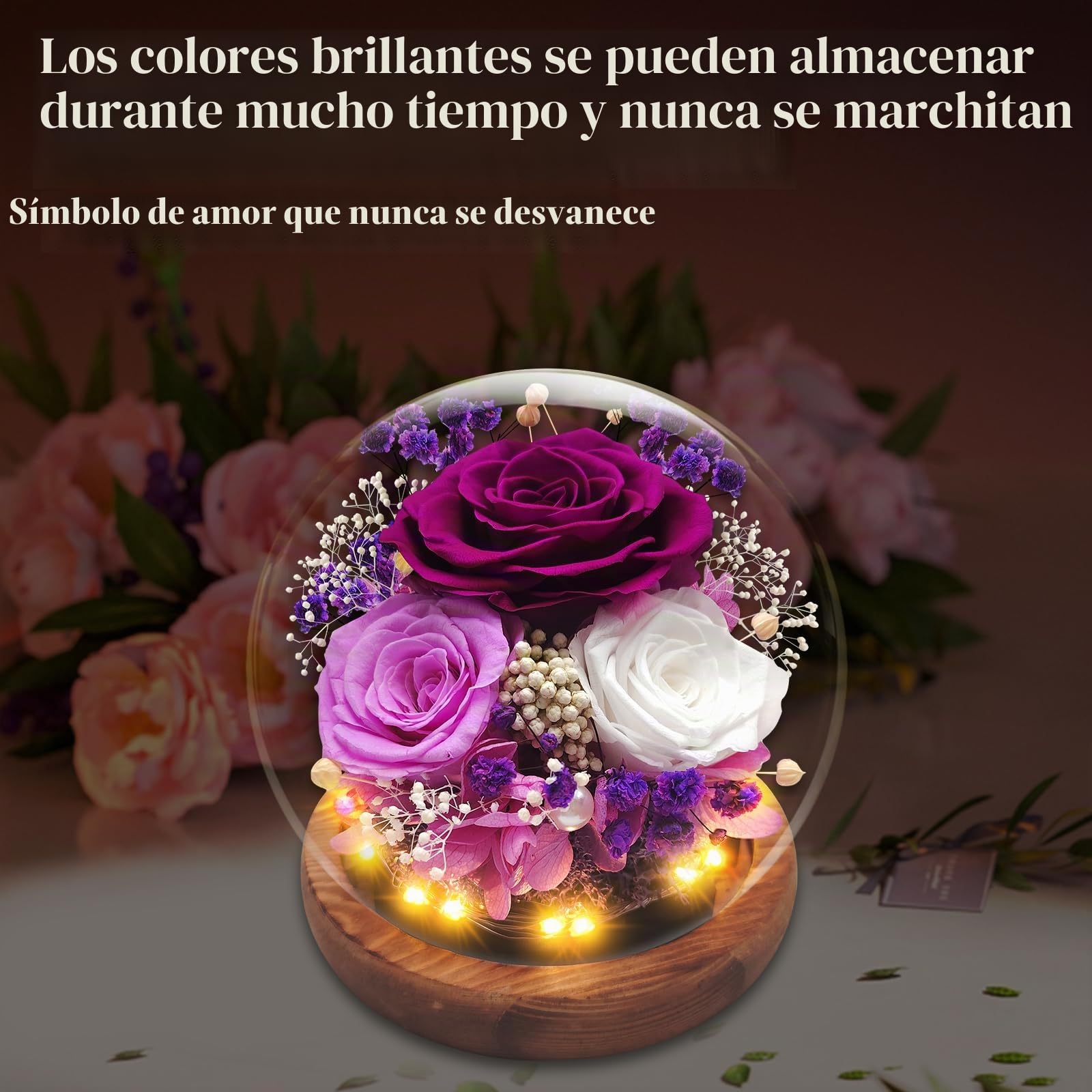 Rosa Eterna Natural Preservada, Rosa eterna en vaso con luz, Rosas Flores preservadas, Púrpura Ramo de Flores Reales en Cúpula de Cristal, Regalos para Mamá Novia Esposa Cumpleaños Navidad Aniversario