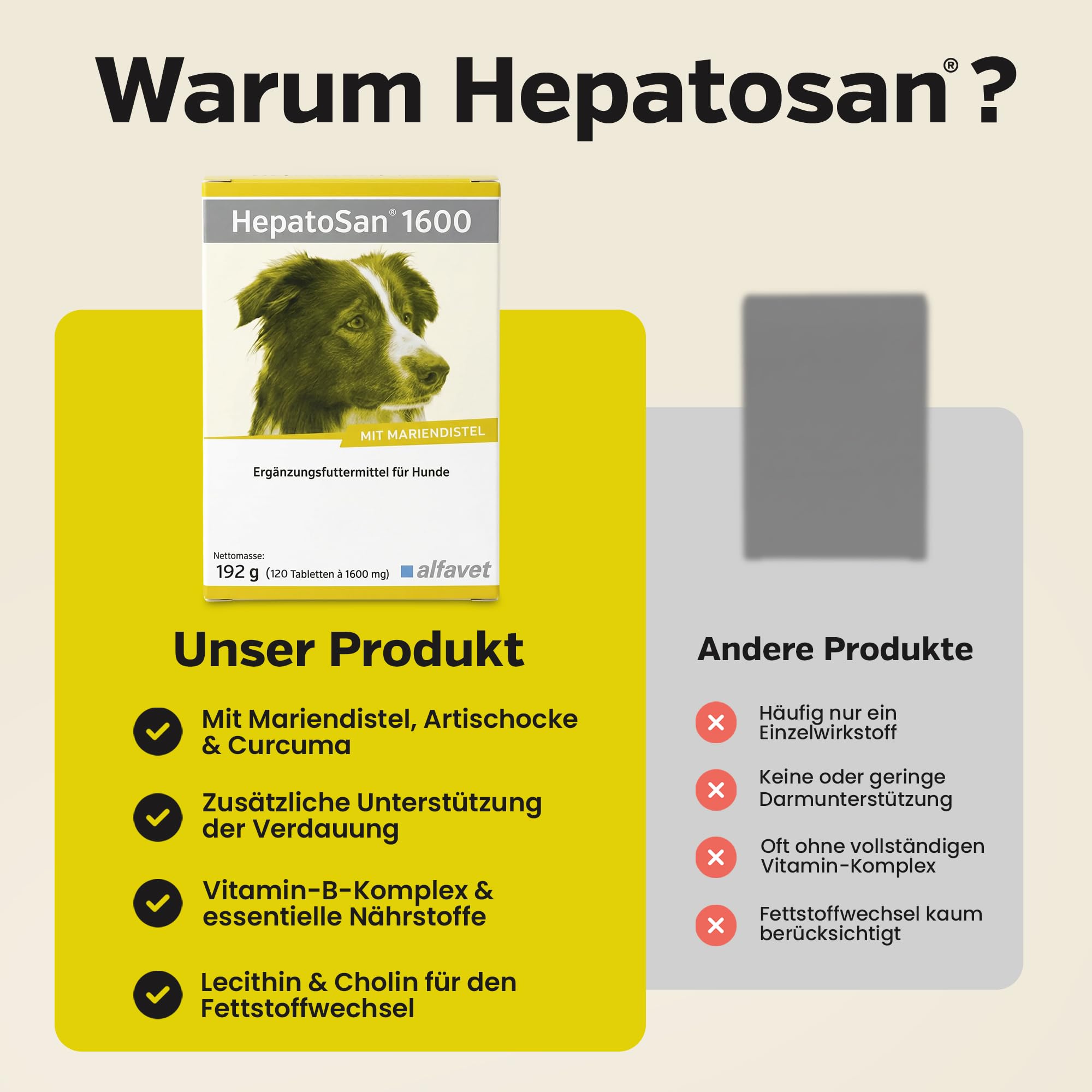 Alfavet HepatoSan 1600 - suplemento alimenticio para Perros - Ayuda al metabolismo hepático - 120 tabletas de 1600mg