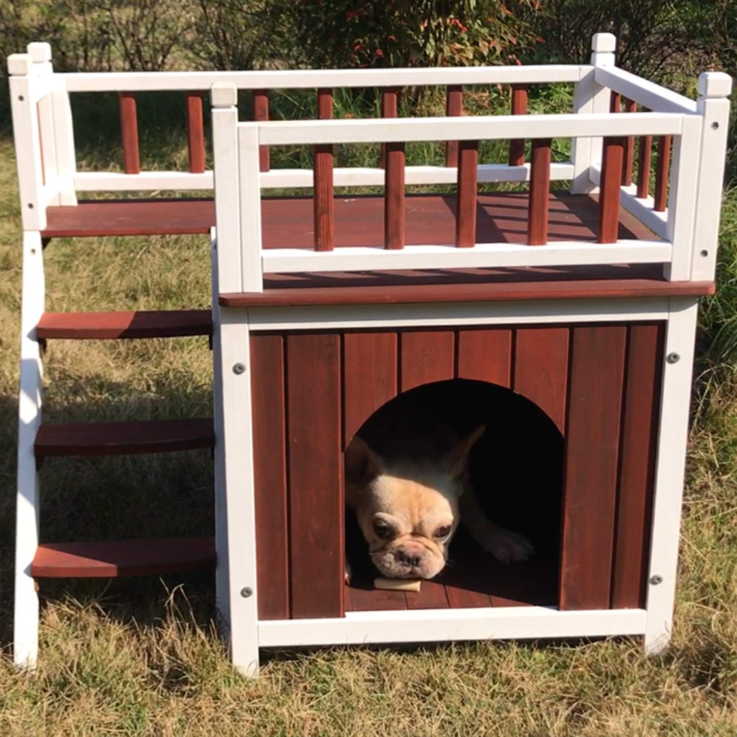 Aivituvin Dog/Cat House Outdoor and Indoor,Feral Pet Houses for Cats