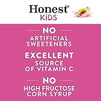Vista 6 de Honest Kids Berry Good Lemonade, 6 onzas líquidas (paquete de 8)