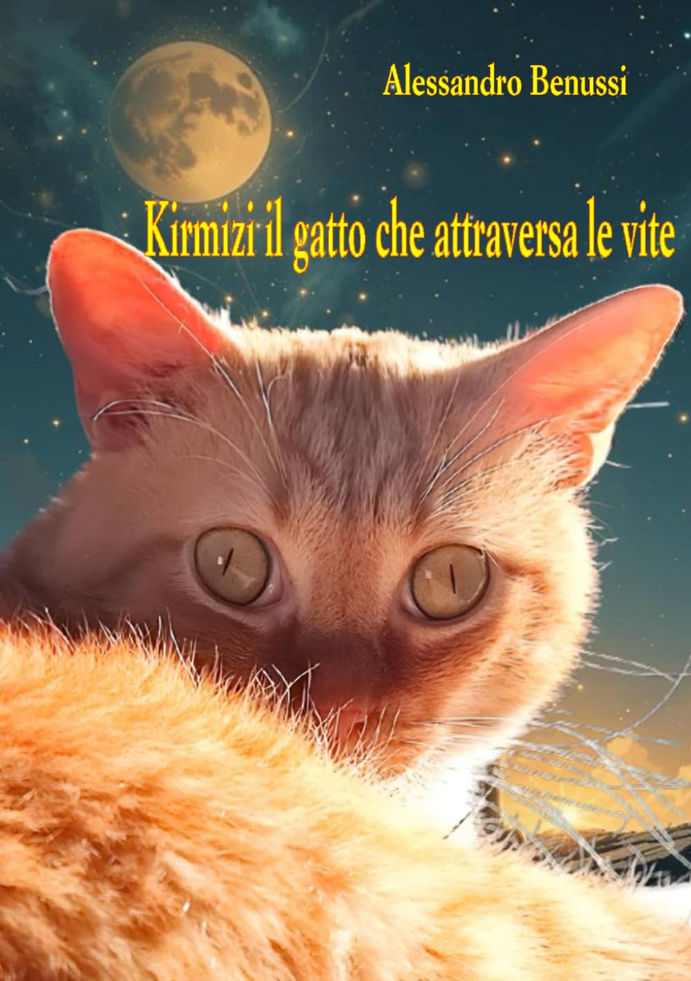 Kirmizi il gatto che attraversa le vite