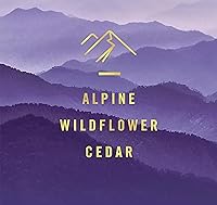 Vista 5 de Febreze Ambientador, Lino y Cielo + Montaña (4 ct.)