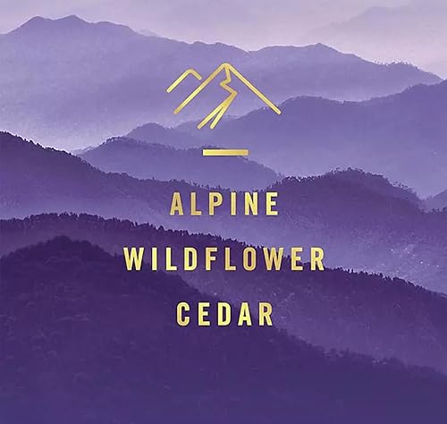 Miniatura 5 de Febreze Ambientador, Lino y Cielo + Montaña (4 ct.)