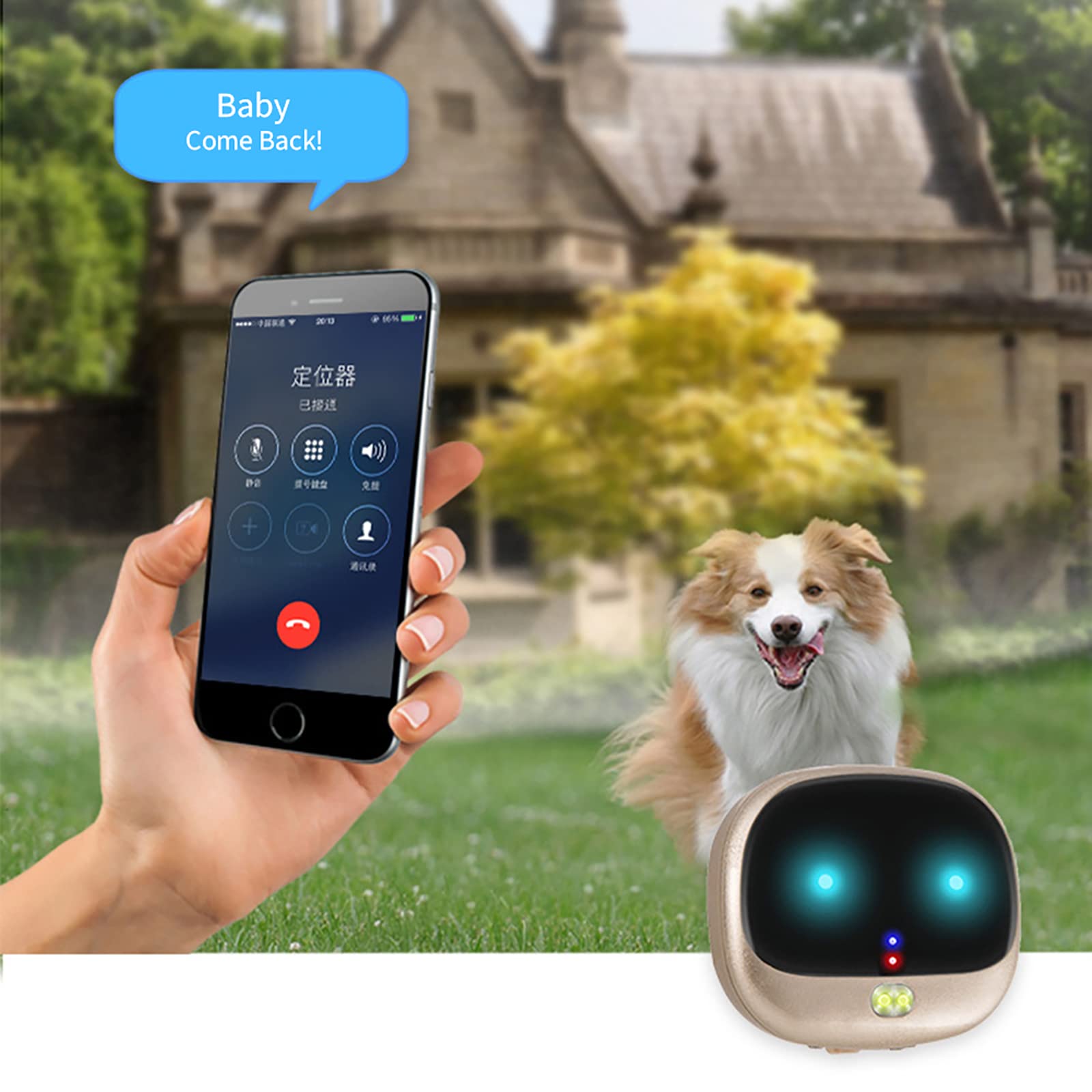 Localizzatore GPS per Animali Domestici, Localizzatore di Collare Intelligente Anti-smarrimento per Cani da Compagnia, Riproduzione della Traccia, Impostazione della Portata