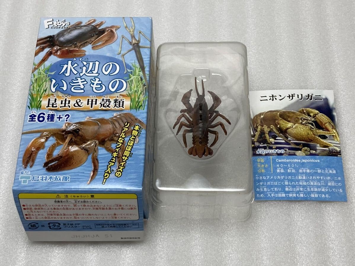 Amazon.co.jp: エフトイズ 水辺のいきもの 昆虫&甲殻類 05.二ホン