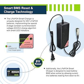 Amazon.com: ExpertPower 2 Pack 12V 12Ah LiFePO4 Lithium