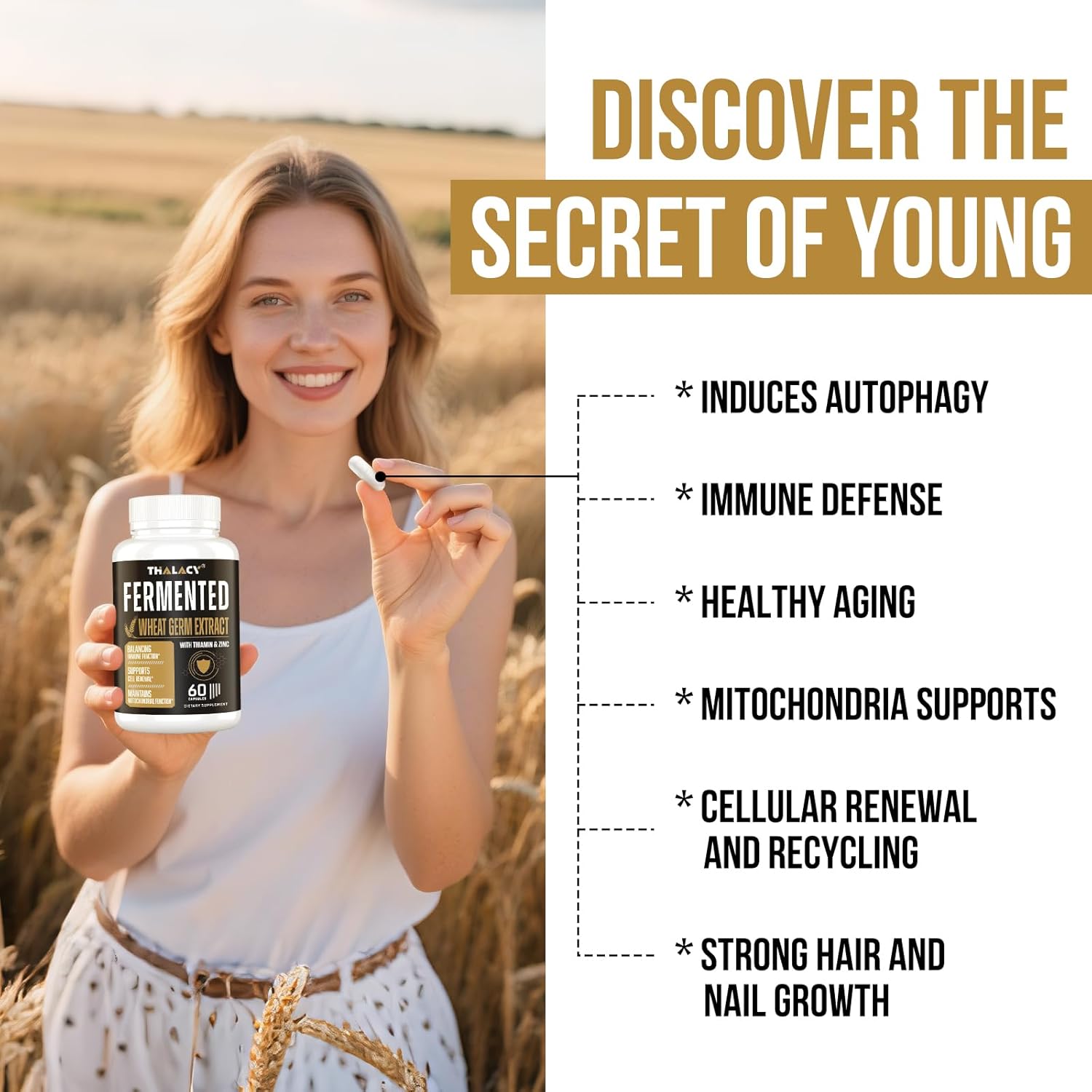 Spermidine Supplements 13mg - 1300mg Wheat Germ Extract Capsules Potent Formula with Higher Spermidine Content and Zinc for Healthy Aging, Daily Immune System and Cell Renewal, 60 Capsules - Image 5