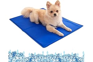 Dog Cooling Gel Pad: Beat the Heat for Your Furry Friend