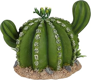 BESTOYARD 2 Peças Escalada Animal De Estimação Cacto Dragão Barbudo Habitat Réptil Escondendo Habitat Brinquedo Animais Réptil Escondendo Caverna Brinquedo Recipientes Aquário Betta Peixe