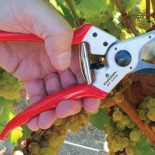 Miniatura 3 de Pruners de precisión de repuesto, tijeras de podar de resorte de tijera para recolección de jardín, tijeras de podar reemplazo, 2.3 in tijeras de