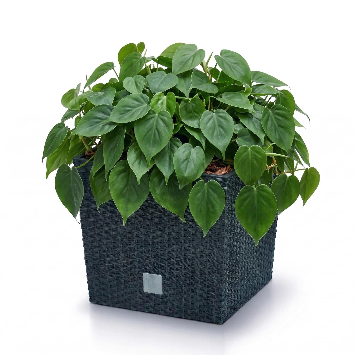 Prosperplast quadratisch Blumentopf in Rattan-Optik Rato Serie anthrazit Volumen 64 L, schwarz, 39 x 39 x 40,5 cm, DRTS400L-S433