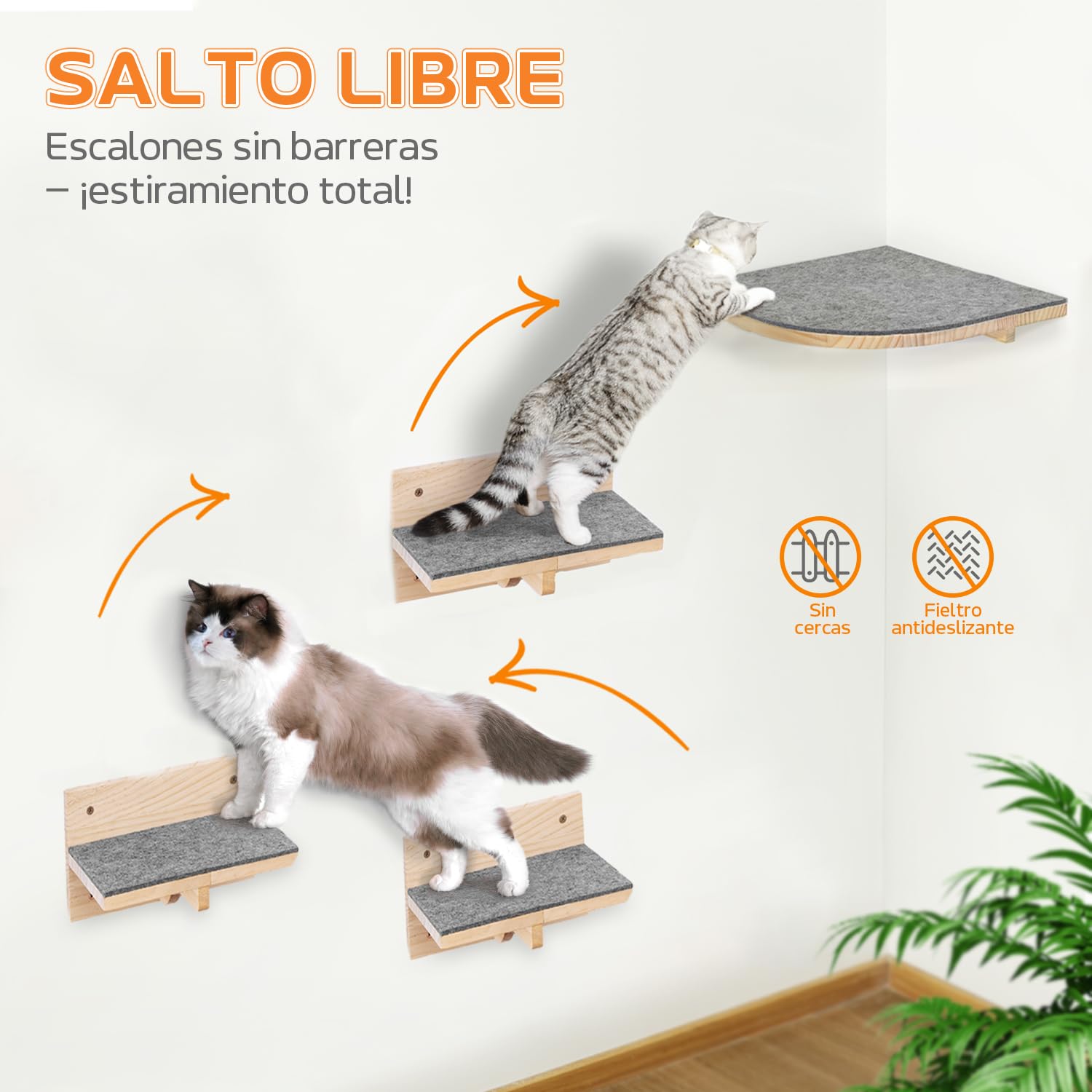 Pawtasy Pared Estantes de Pared para Gatos, Escaleras Juego de 4 Paredes de Escalada para Gatos Estable, Madera Natural Parkour hasta 35 kg