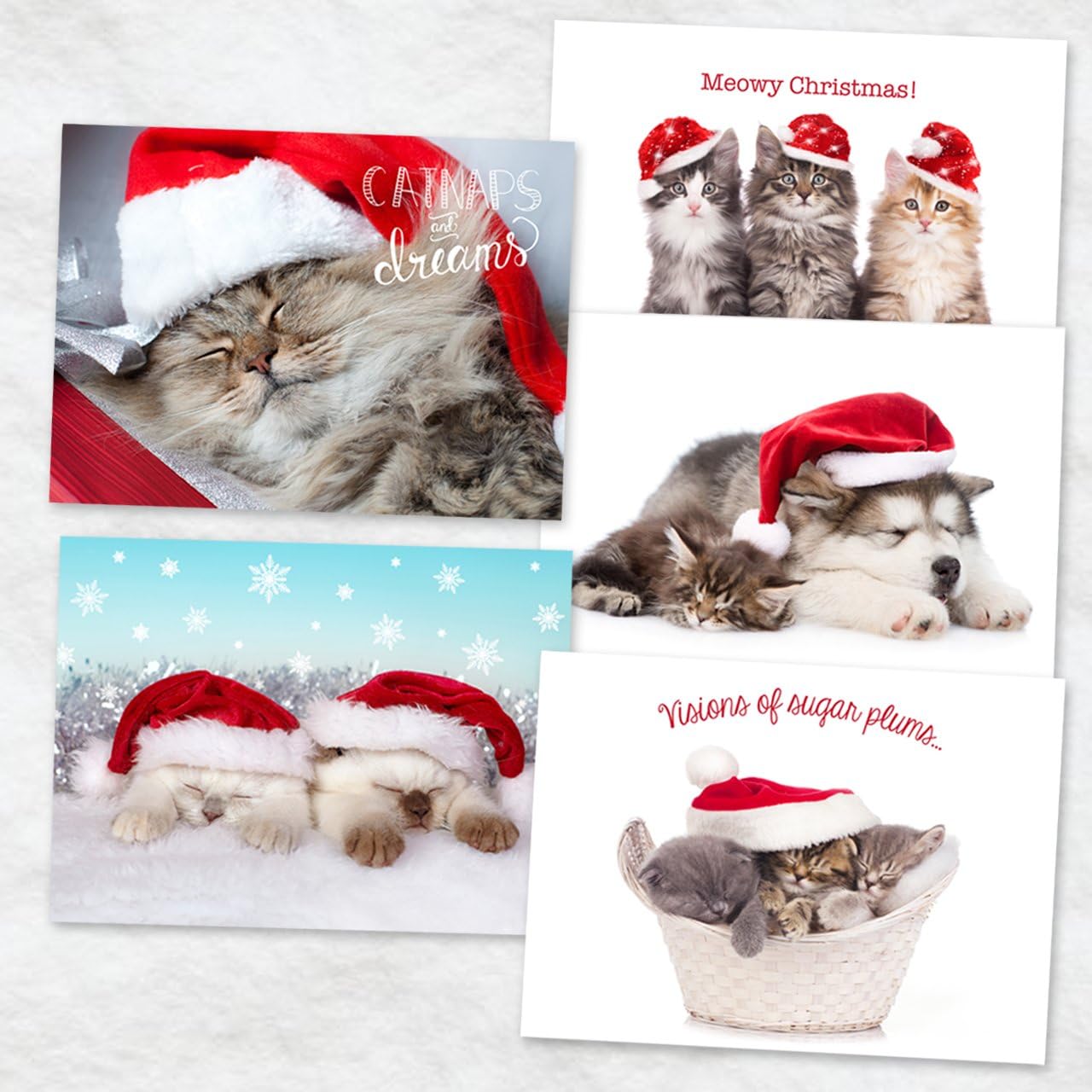 Canopy Street Christmas Cats Holiday Card Assortment Pack / 25 Seasonal Kitten Greeting Cards And Envelopes / 5 Sleeping Santa Animal Designs And Christmas Messages