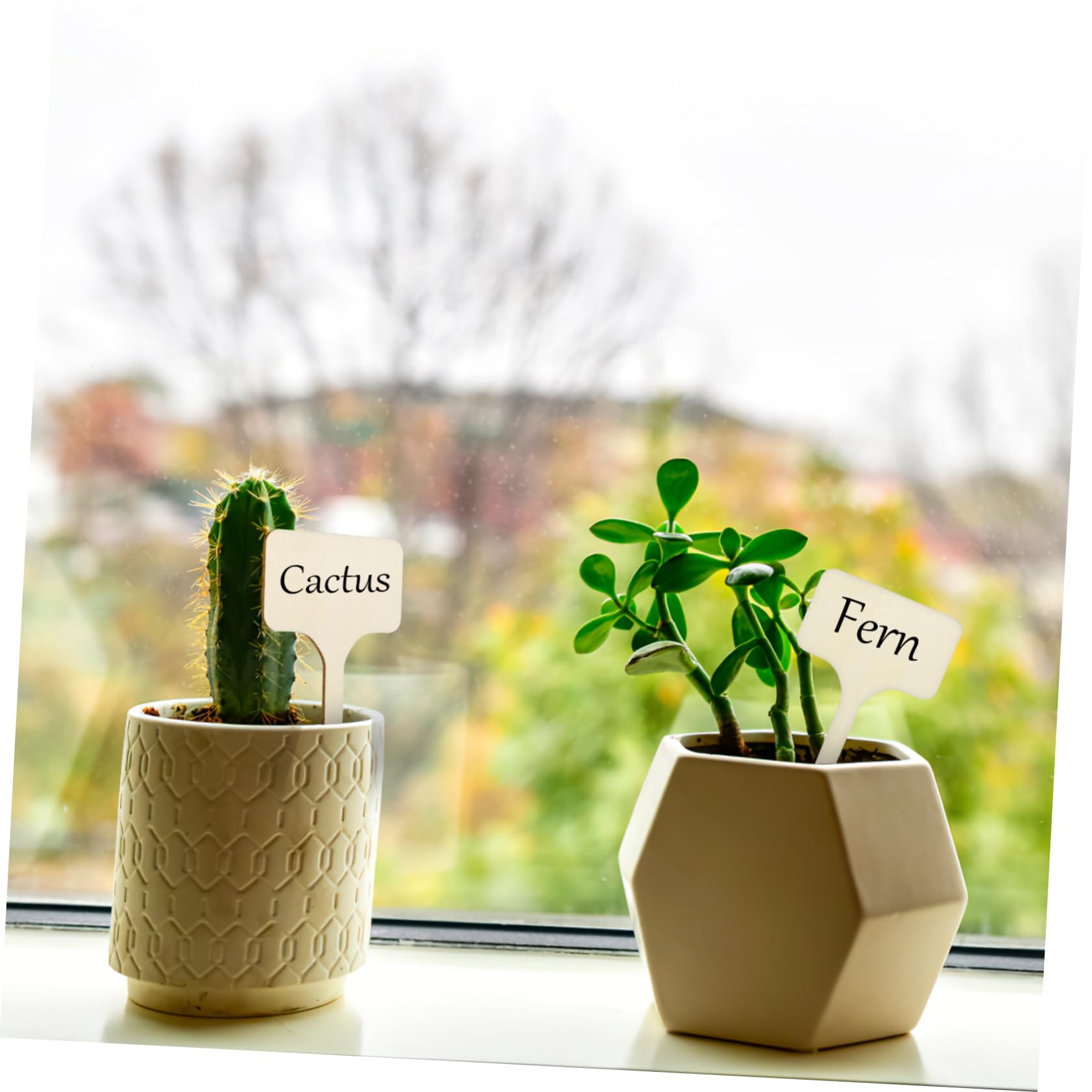 POPETPOP 250pièces Étiquettes De Plantes Marqueurs De Jardin Pour Semences Et Fleurs Lot De Étiquettes Réutilisables Pour Identifier Vos Plantes Et Votre Espace