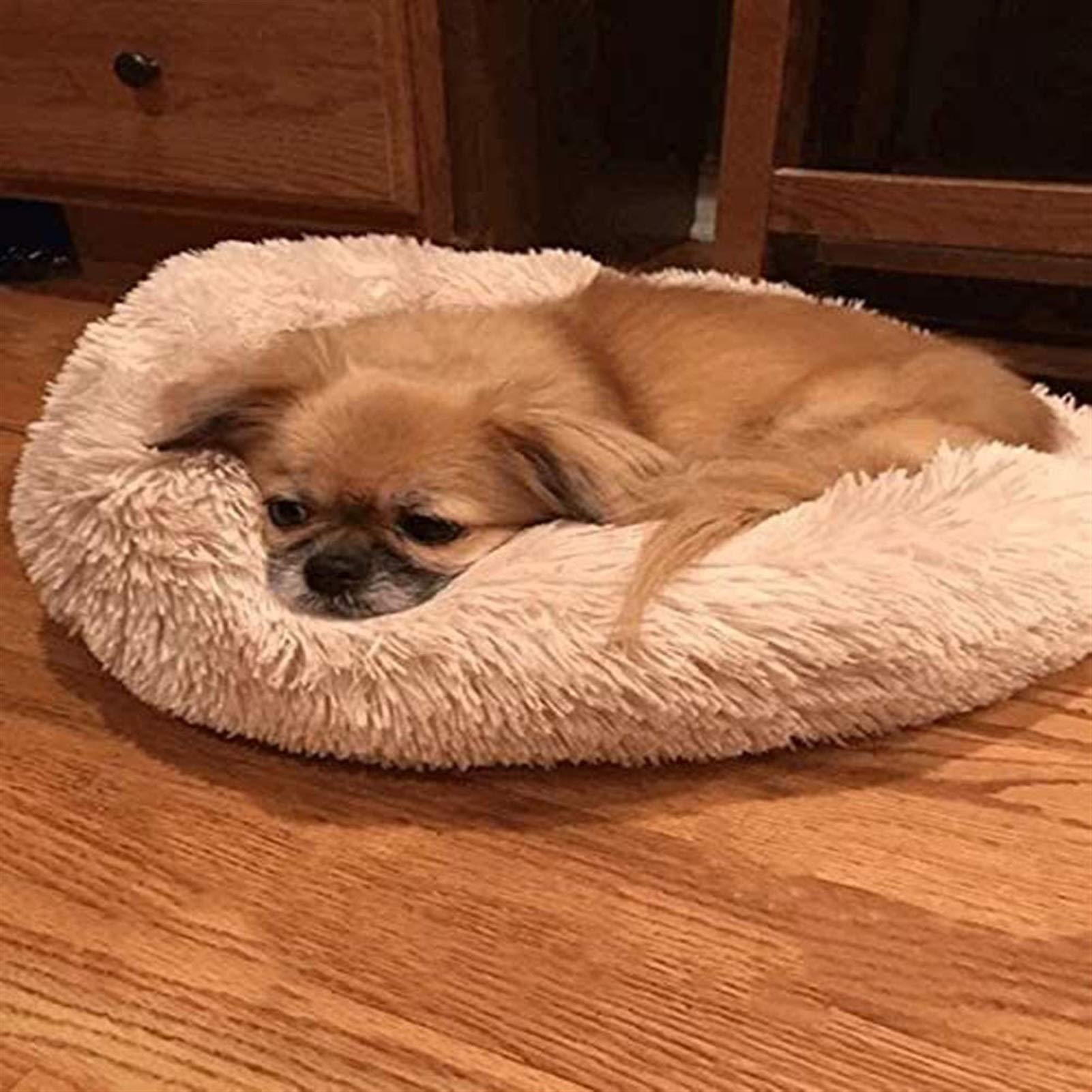 Cama Ortopédica Calmante para Perros, Cesta para Dormir, Piel Sintética Suave, Sofá para Mascotas para Perros Medianos y Grandes, Golden Retriever, Perro Alemán, Lavable