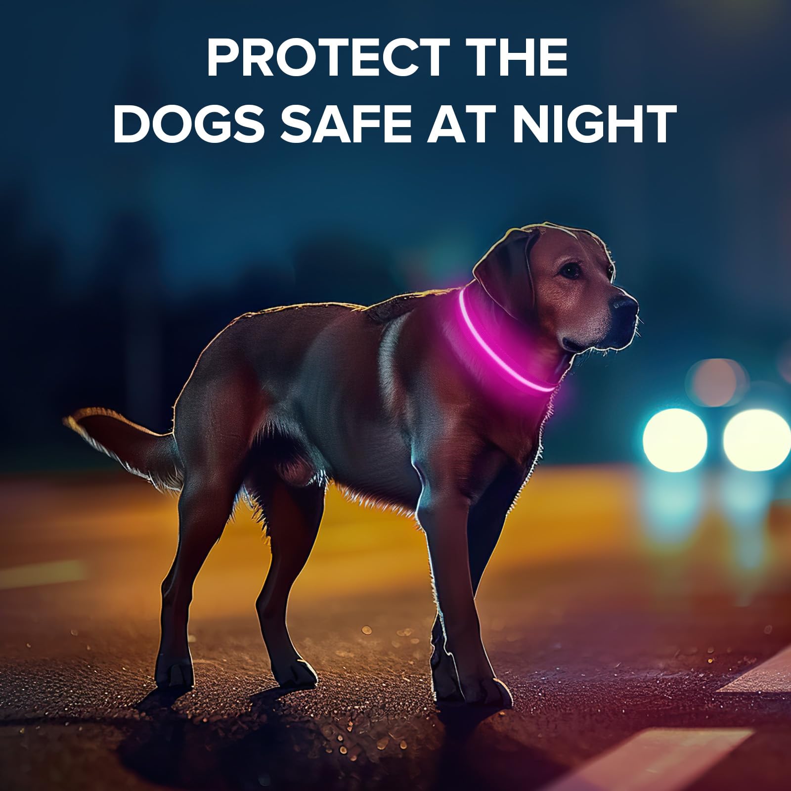 Collare per cani luminoso, regolabile, ricaricabile tramite USB, si illumina al buio, collare impermeabile per cani di piccola taglia (rosa, S)