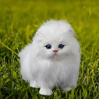 ふわふわ　ぬいぐるみ　猫　パープル　ポップマート激似 楽天市場】ぬいぐるみ 猫 リアル ふわふわ ネコ サイズ30X15CM(S