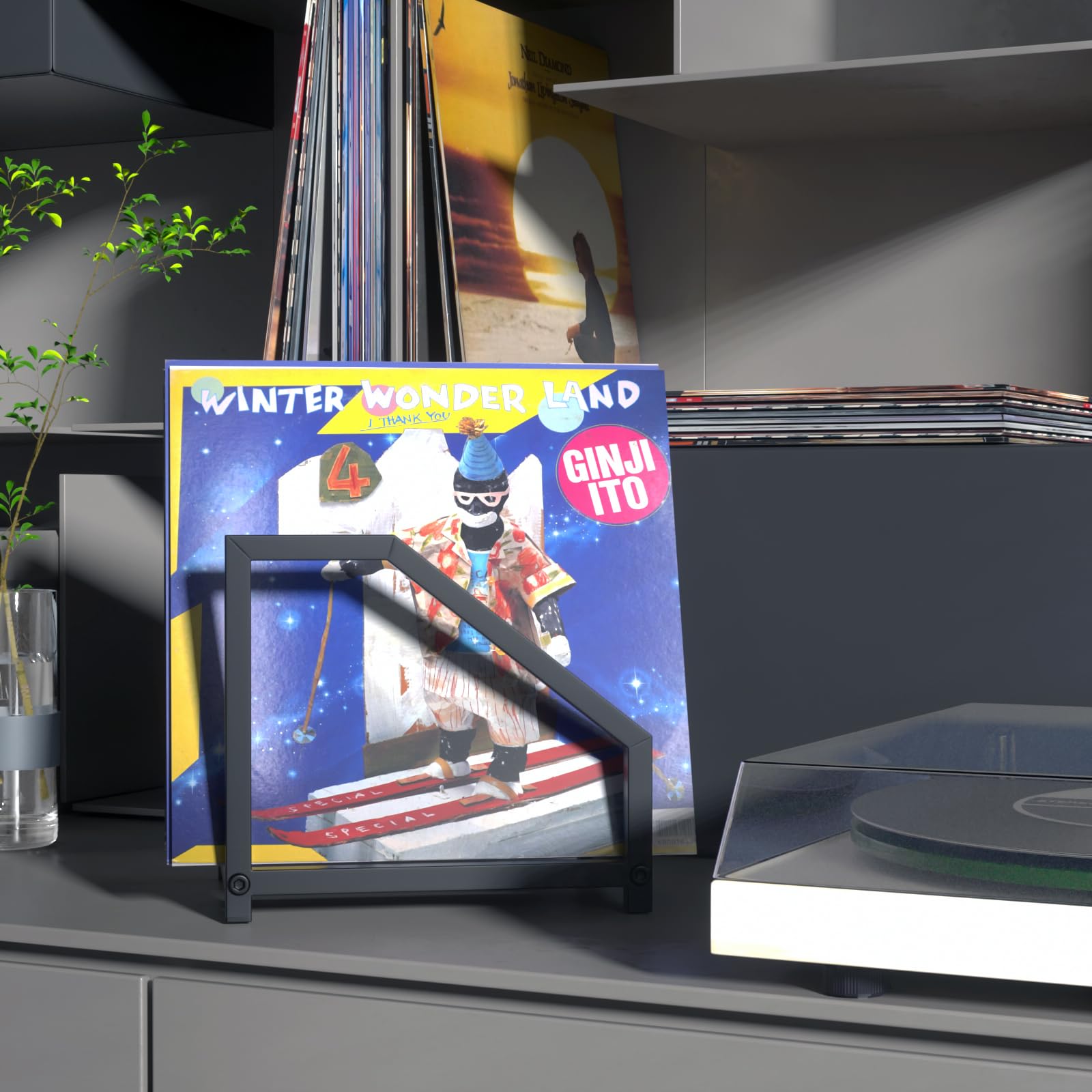 MayRecords Supporto per dischi in vinile nero in metallo da tavolo per LP