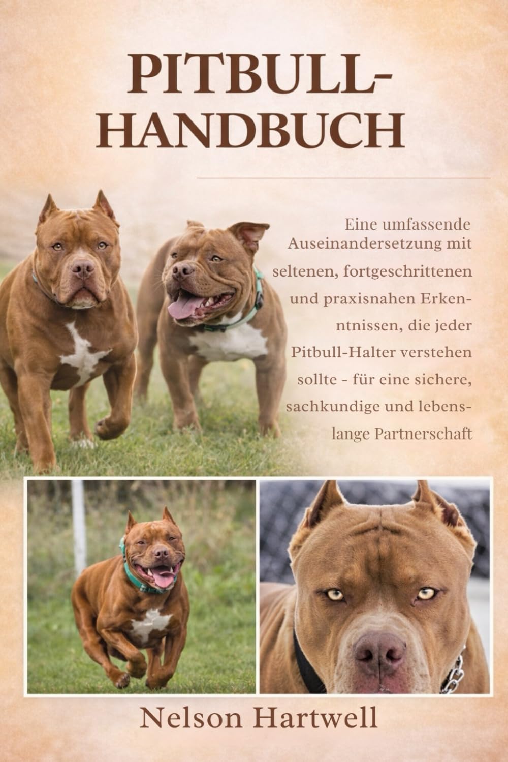 PITBULL-HANDBUCH: Eine umfassende Auseinandersetzung mit seltenen, fortgeschrittenen und praxisnahen Erkenntnissen, die jeder Pitbull-Halter verstehen ... sachkundige und lebenslange Partnerschaft