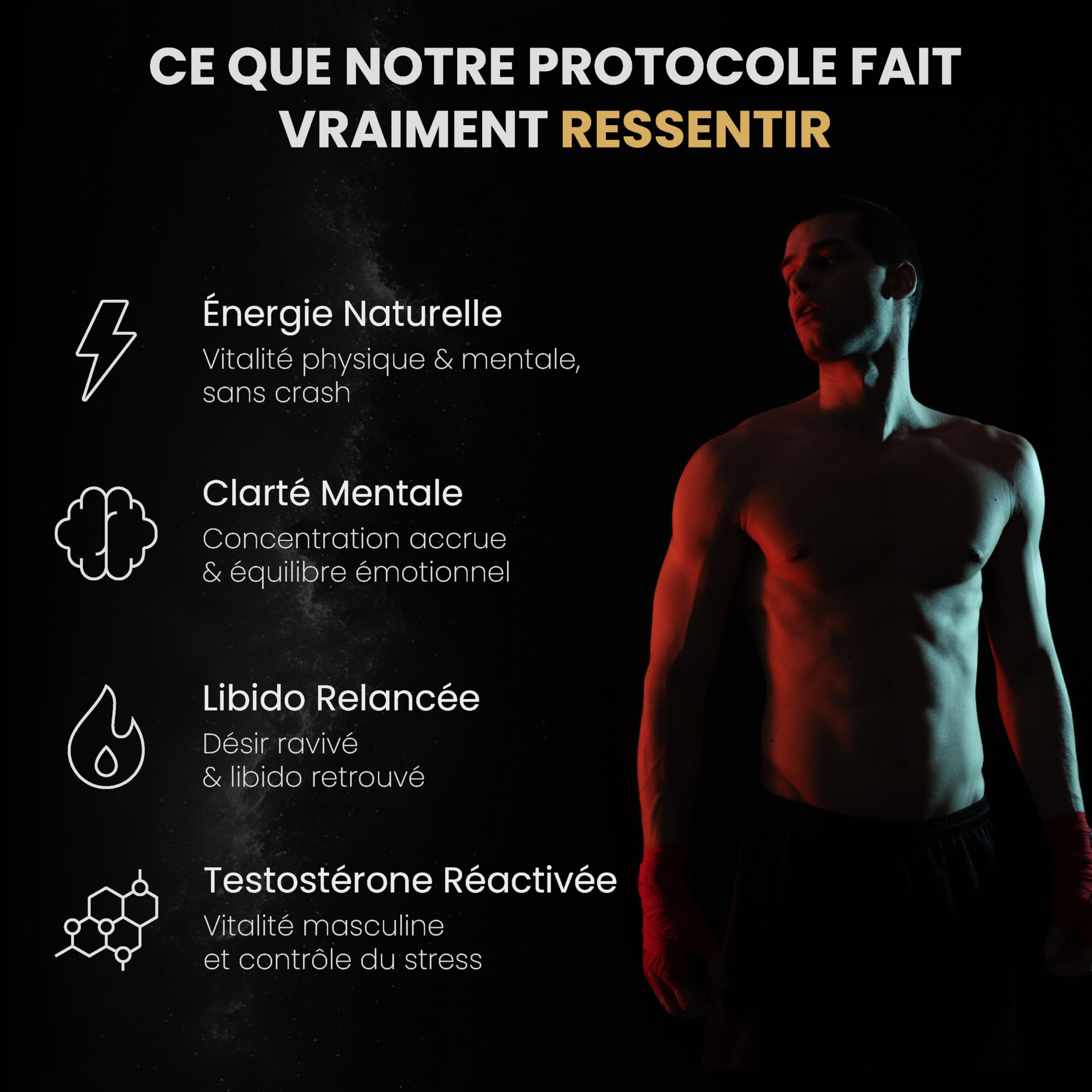 Shilajit Complexe certifié 150 Gélules Vegan – Booster de testostérone naturel avec Ashwagandha, Maca, Ginseng, Zinc & Safran – Energie, Endurance & Performances Masculine