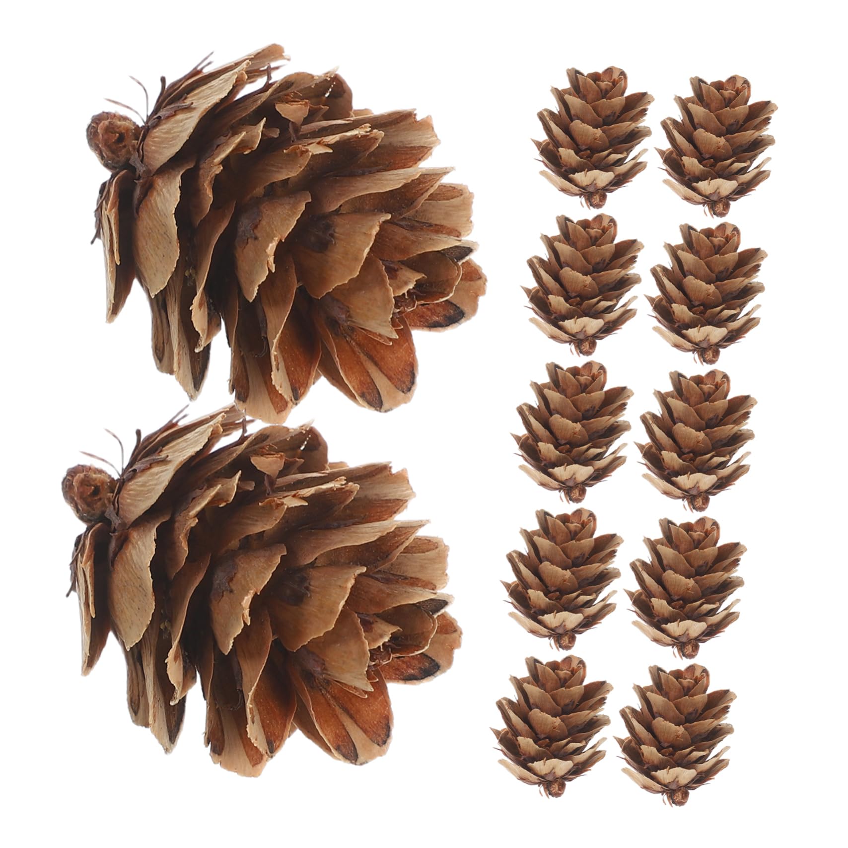 Amosfun Pigne Decorative Natalizie Dorate Naturali per Decorazioni di Casa Rustiche Ornamenti per Albero di Natale Abbellimenti Fai da Te per Festività