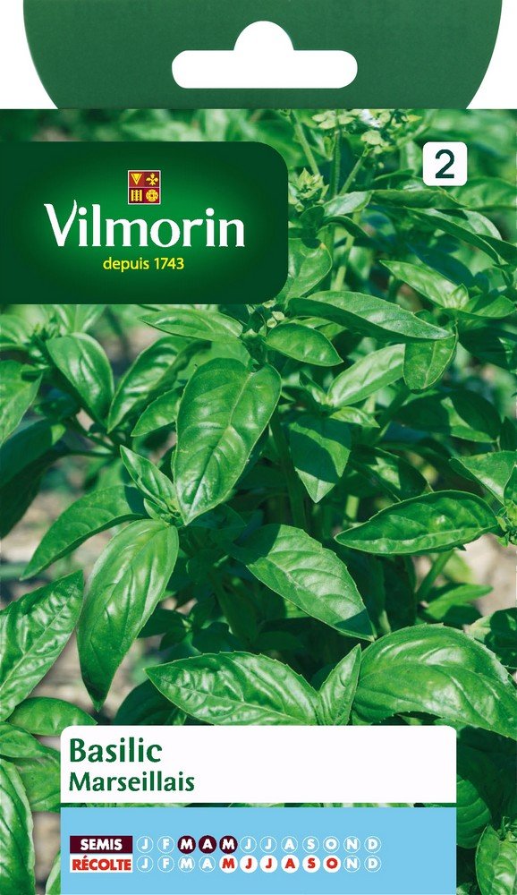 Vilmorin 5873246 Pack de Graines Basilic Marseillais Extrêmement Parfumé
