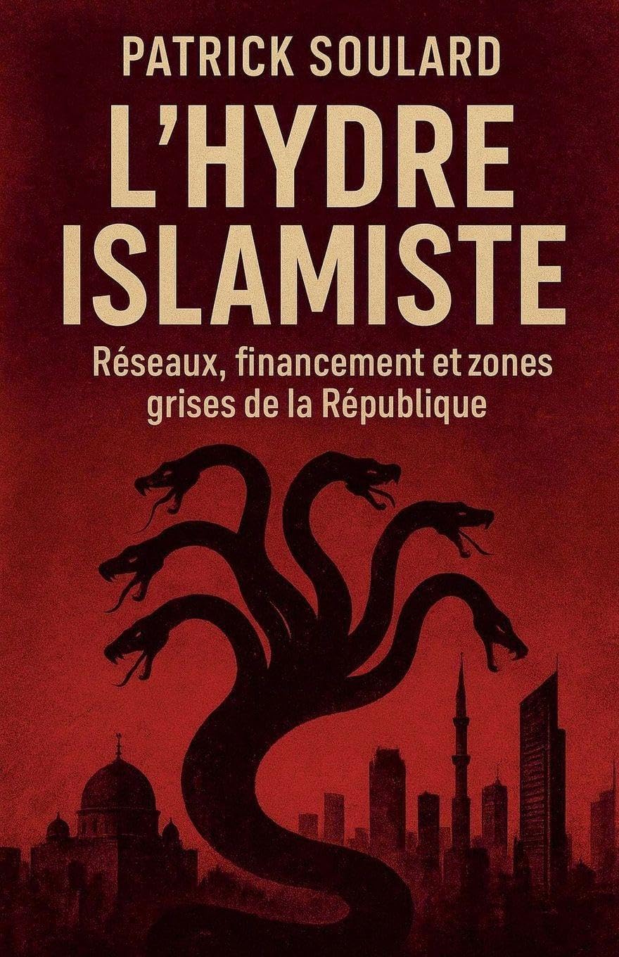 L'hydre islamiste, réseaux, financement et zones grises de la République